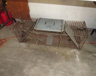 Large varmint trap