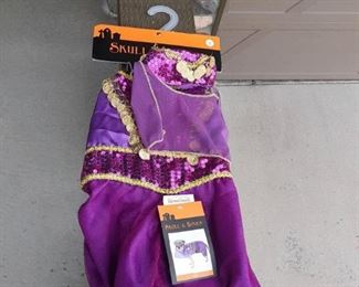 Small Dog Belly Dancing Costume