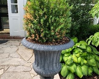 $300. There are THREE of these fabulous outdoor urn planters. Sold separately.  Material is likely cast aluminum (not resin). 32” H x 28” diameter