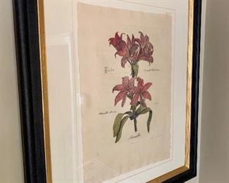 $300 - Limited Edition Artist Signed Botanical - Art measures 16.5" x 22.5" and with frame measures 30" x 34"