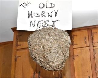 96. Hornets Nest