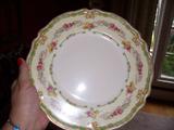 Johnson Bros China - Granville pattern. Significant number of pieces