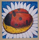Kim Rowland ladybug
