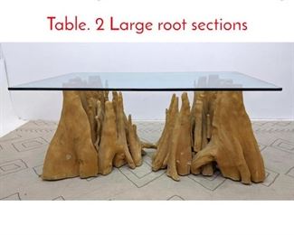 Lot 172 Large CYPRESS Root Dining Table. 2 Large root sections 