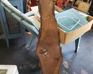 Large Slice of Tree for Plaques etc 2 sizes available Call