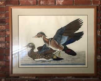 Duck Artwork