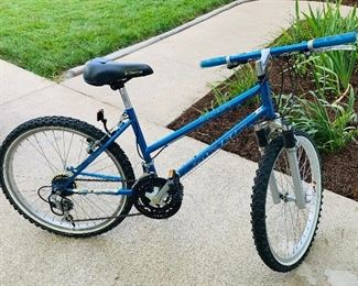 Blue Pacific Escape bike - one of 2