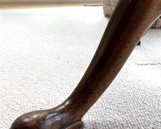 Look at this pretty little slipper foot!