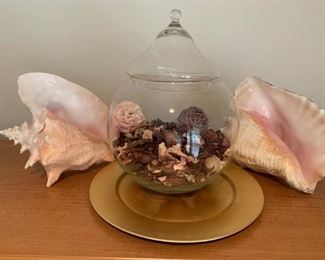 099l Shells  Glass Lidded Bowl