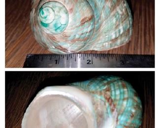 3.5" shell $3. Now $1.5