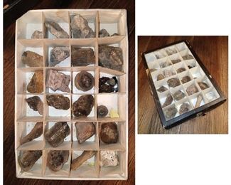24 piece vintage fossil collection $30. Now $15