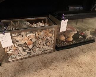 Pair of aquarium full of shells