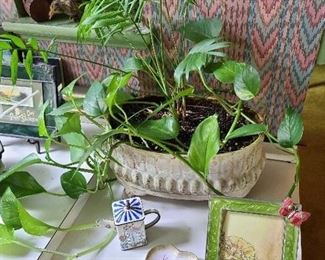 Plant & Pottery Planter 