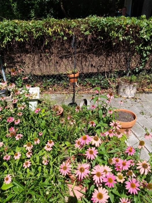 flower pots and yard art