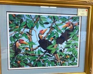 Framed print of Hornbills. Approx. 34 x 27 inches. WAS $200. NOW $50 