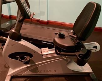 Lot 1570 $350.00 True Fitness Z5 Recumbent Bike Orig. Pd over $2000. Excellent Condition, Great Price for a True Bike. Health Club Quality.