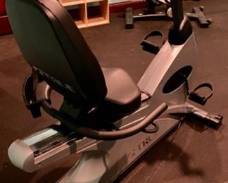 Lot 1570 $350.00 True Fitness Z5 Recumbent Bike Orig. Pd over $2000. Excellent Condition, Great Price for a True Bike. Health Club Quality.