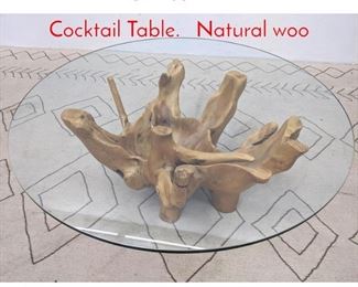 Lot 1155 Large Cypress Root Coffee Cocktail Table. Natural woo