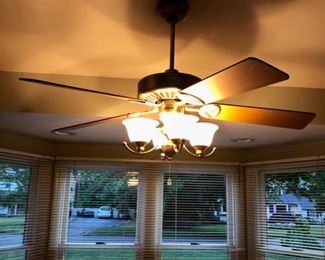 Ceiling fan, already removed 