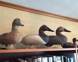 Carved and ceramic Duck Decoys.