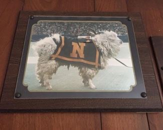 Plaque with Navy dog.