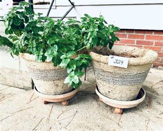 Pair of fiberglass planters on casters 
15 inches tall $49