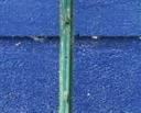 Green Metal Garden or Fence Stakes