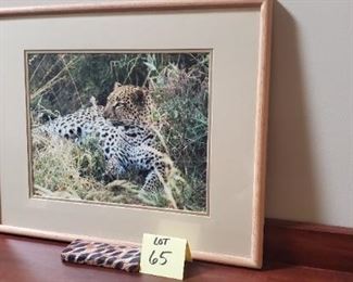 Lot #65 - $10 Leopard Photo 21"x17"