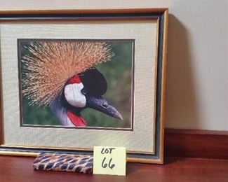 Lot #66 - $10 Black Crowned Crane Photo 18"x15"