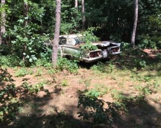 Thunderbird parts in the backyard woods. Has a 1969 license plate.