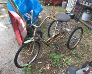 Miami Sun Tricycle w/ Basket  on back
