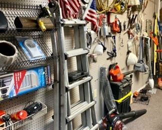 Folding extension ladder with side extensions