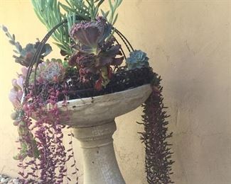 Succulent bird bath. A lot more garden decor available. 