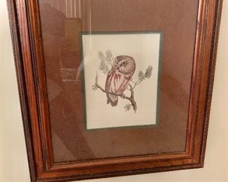 $50 Framed owl print. 18.5" W x 20" H. 