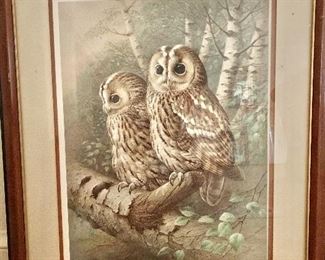 $75 Owl print.  22" W x 26" H. 