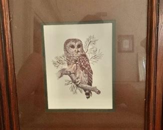 $50 Owl print.  18.5" W x 20.5" H. 