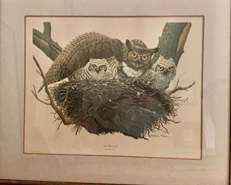 $75 Owl print.  37.25" W x 31.5" H. 