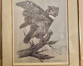 $75 Owl print.  33" W x 39" H. 