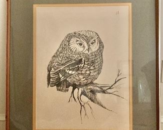 $50 Owl print.  26" W x 31.25" H. 