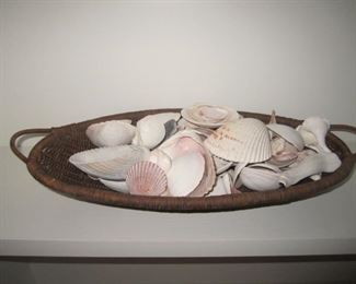 SHELLS