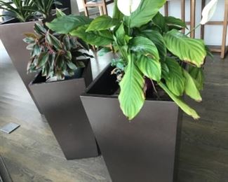 3 planters. $300