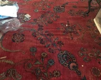 photos of the Sarouk 10'2"x 2' rug 