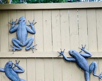 Garden Frogs