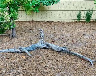 Driftwood