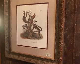 Monkey prints in Hall bath - framed