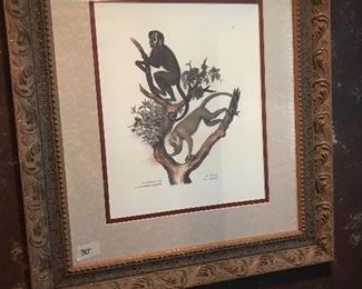 2nd framed Monkey print