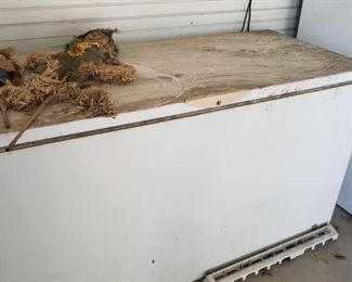 working freezer and refrigerator on carport