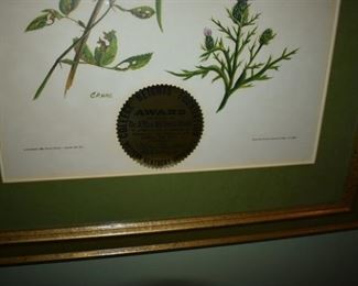 Limited Print by Crume of Plants and Butterfly