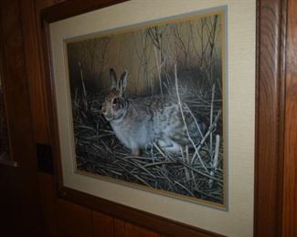 My Friend Cottontail Rabbit by Charles Frace