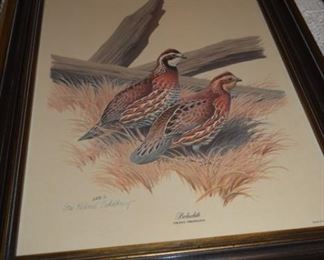 Bob White Guy Coheleach